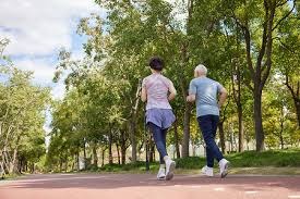 世界棒球12强赛技术统计系统升级